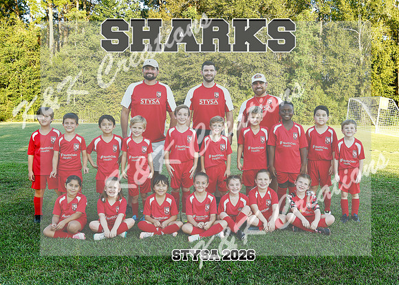5X7 SHARKS COACH LANE GABRIEL TEAM