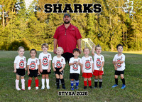 5X7 SHARKS LIL STARS COACH BJ HILL TEAM