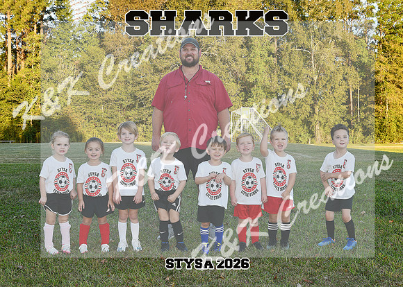 5X7 SHARKS LIL STARS COACH BJ HILL TEAM