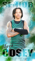 ALFRED COSEY BANNER
