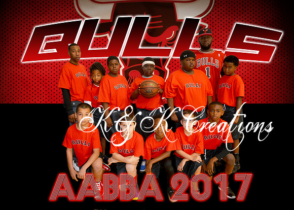 bulls_team_pic_edit
