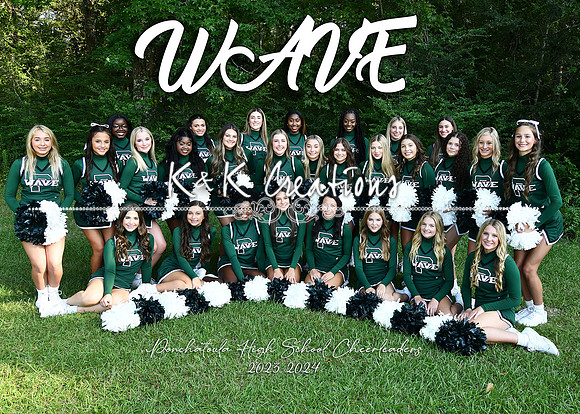 phs cheer team