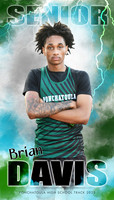 BRIAN DAVIS BANNER