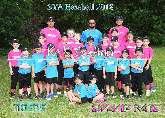 5X78 BOTH TEAMS TIGERS AND SWAMP RATS