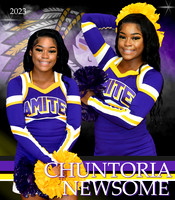 CHUNTORIA NEWSOME BANNER