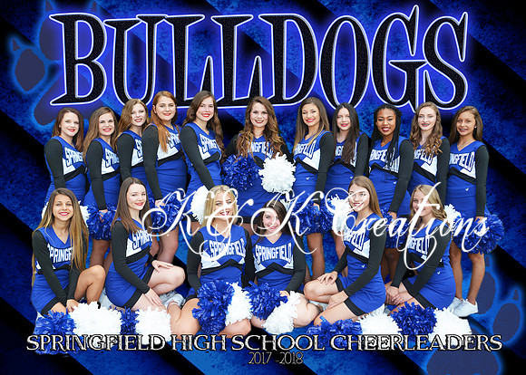 5X7 SHS CHEERLEADERS TEAM PICTURE