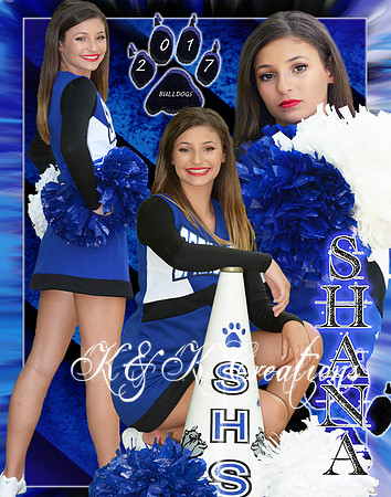SHANA ABELS COLLAGE