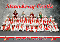 STRAWBERRY CASTLE 2025
