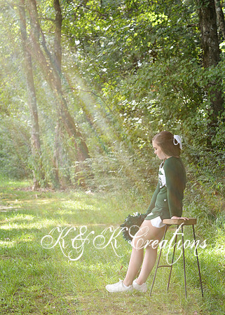 KRS_5318