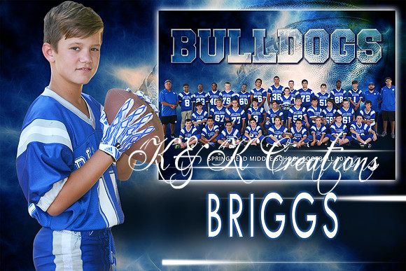 BRIGGS MITCHEL MEMORY MATE