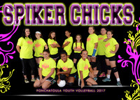 SPIKER CHICKS