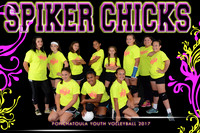 8X12 SPIKER CHICKS TEAM PYV 2017