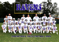 RAVENS