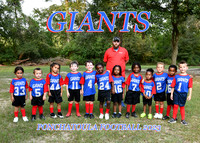 5X7 GIANTS TEAM