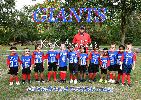 5X7 GIANTS TEAM