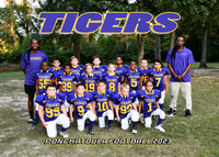 TIGERS