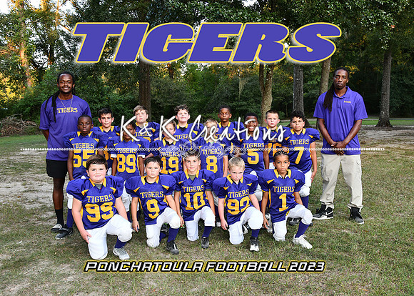 5X7 TIGERS TEAM