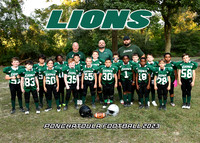LIONS