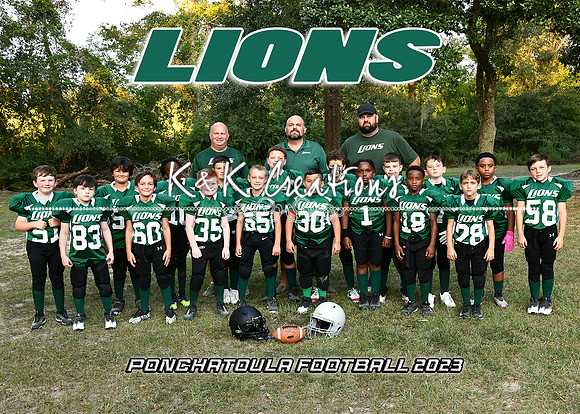 5x7 LIONS TEAM