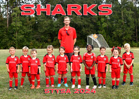 5X7 5-6U COED TEAM 4 SHARKS