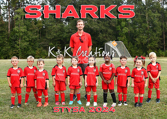 5X7 5-6U COED TEAM 4 SHARKS