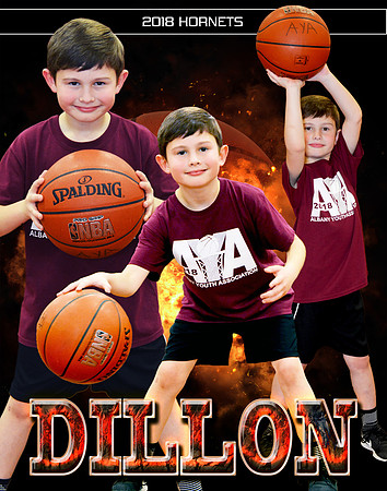 DILLON SUTTON COLLAGE