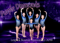 Purple Diamonds Level 1