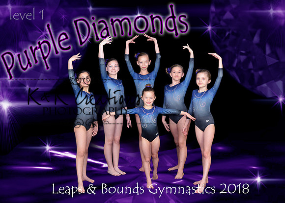 5x7 Purple DIamonds Level 1 Team