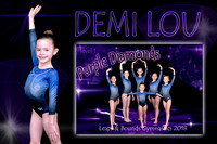 DEMI LOU STEWART MEMORY MATE
