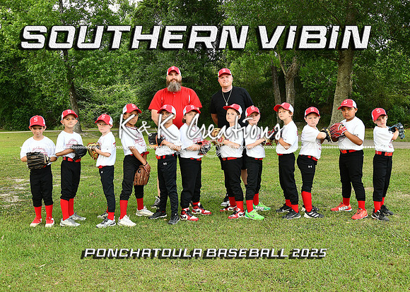 5X7 7-8B SOUTHRN VIBIN TEAM