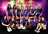 10-12 VOLLEY VIOLETS