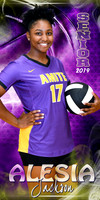 ALESIA JACKSON BANNER
