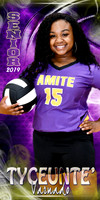TYCEUNTE VARNADO BANNER