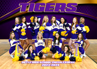 DOYLE HIGH CHEERLEADERS 2023-2024