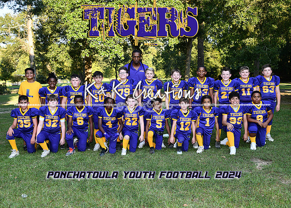5X7 TIGERS TEAM