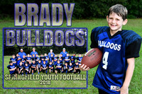 BRADY PIERCE MEMORY MATE