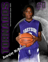 demajay mcmorris poster