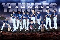 Hammond Yankees 2019