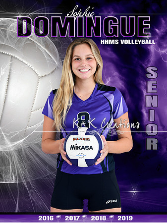 SOPHIE DOMINGUE BANNER
