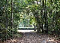 KKC_1163