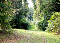 KKC_1212