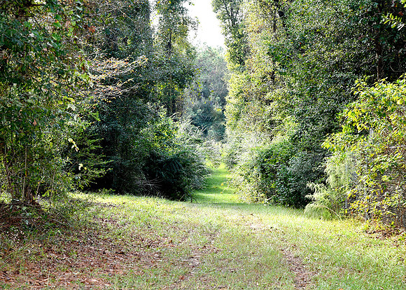 KKC_1212