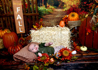 amelia theard_1762