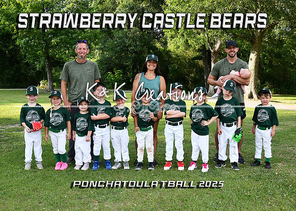 5X7 SC BEARS TEAM TBALL