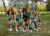 CHEER - MUD DAWGS