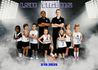 LSU TIGERS