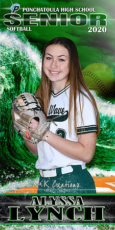 alyssa lynch banner