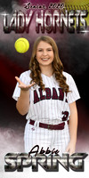 ABBIE SPRING BANNER