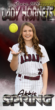 ABBIE SPRING BANNER