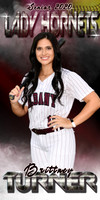 brittney turner banner